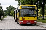 Jelcz 120M CNG #256 2008-07-05