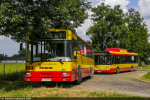 Jelcz 120M CNG #262 2009-07-29
