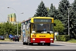 Jelcz 120M CNG #262 2010-07-22