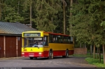 Jelcz 120M CNG #261 2010-07-31