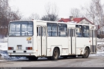 Ikarus 280.26 #1978 2010-12-27
