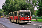 Jelcz 120M #125 2005-08-16